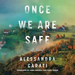 Once We Are Safe cover art