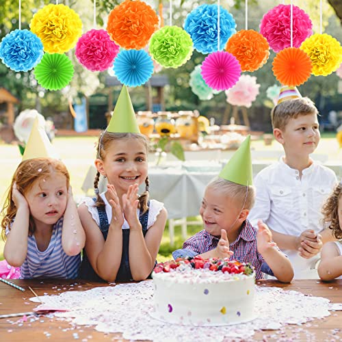 60 Pcs Tissue Paper Pom Poms 10,12,14 Inch Paper Flowers Colorful Paper Party Decorations Paper Flower Balls For Celebration Party Birthday Wedding Fiesta Christmas Decorations And Outdoor Decor #TOP5