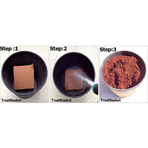 TrustBasket Cocopeat 5 kg Block | Expands Upto 75 litres of Powder| Hydroponic Plants, Kitchen Gardening and Terrace Gardening, Indoor Plants and Outdoor Plants