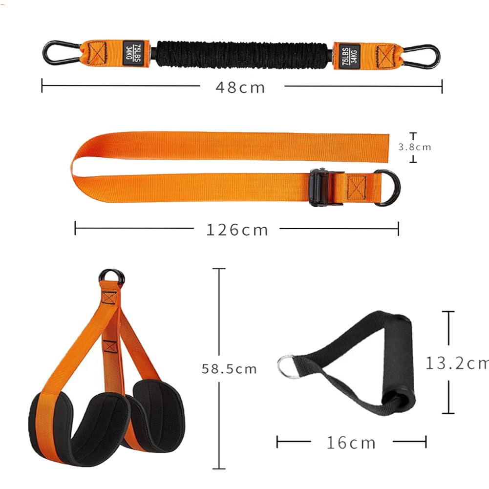 Steadilty - Fasce per trazioni, resistenti, per allenamento di resistenza, regolabili, per allenamento a casa, palestra, fitness