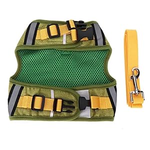 Hondentouwset met harnas, 3 maten en 2 kleuren, geen schade aan de huid van huisdieren, hondentuig en riem(Matcha green…