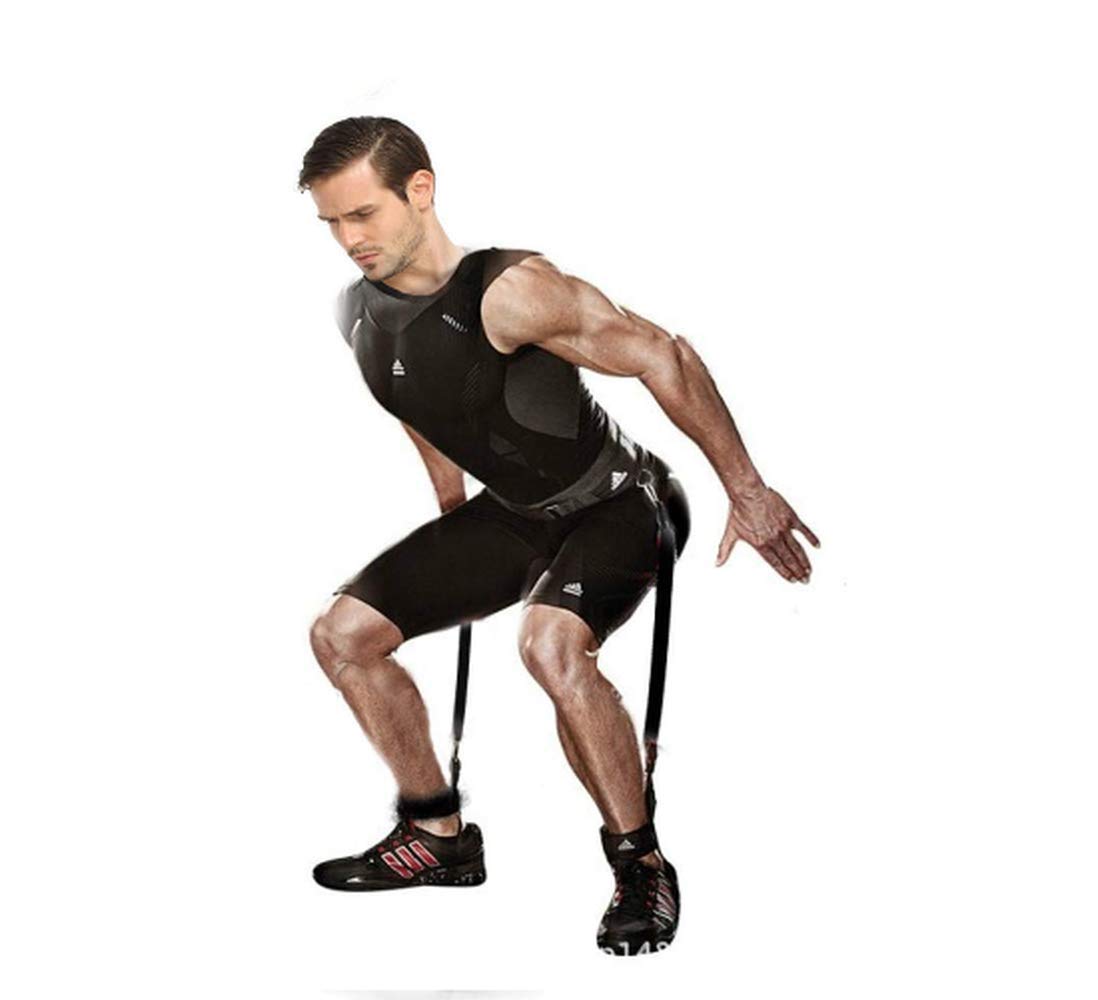 15 Best Jumping Trainers 2023 Reviews & Ratings