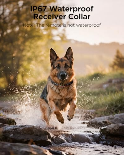 BLACKDOG Military Dog Shock Collar 2 Dogs (5-150lbs) - 4200ft Dog Training Collar with Remote, 4 Training Modes, Flashlight&Strobe, 90-day Battery, IP67 Waterproof Dog E Collar for All Breeds (Orange) - Image 5