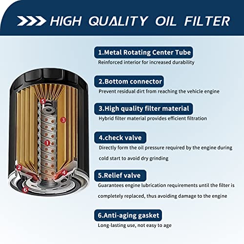 Jcklw Oil Filter 1651003G00 For Suzuki Eiger 400 Lta400, Lta400F Kingquad 400 450 500 750 Gsxr 1100 1000 750 600 Boulevard C50 C90 M109R M50 V-Strom 1000 650 Dl650 Bandit 1200 1250 Burgman 650 (2Pcs) #TOP1