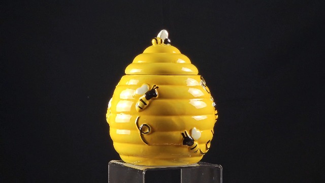 Amazon.com: Hanna's Handiworks Bee Happy Honey Hive Mini Cookie