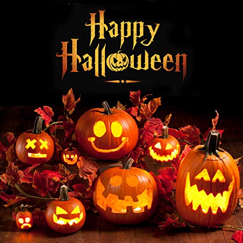 Halloween Pumpkin Carving Tools, 13 Pieces Professional pumpkin cutting supplies tools Kit stainless steel lengthening and thickening with Carrying Case, Easily Sculpting Halloween Jack-O-Lanterns - Thumbnail 6