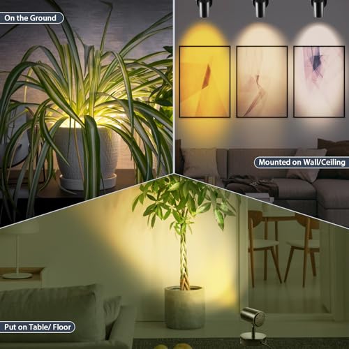 Image of LED Spot Lights 10W Up Lights Indoor With Timer and Remote 2700K-6500K Stepless Adjustable Uplighting Spotlight 120V Dimmable Floor Light for Plant and Artwork (2 Pack)