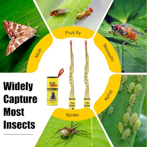 30PCS Fly Paper Strips, TRIITECH Sticky Fly Ribbons Traps, Tape Trap Ribbons for Indoor and Outdoor - Image 4