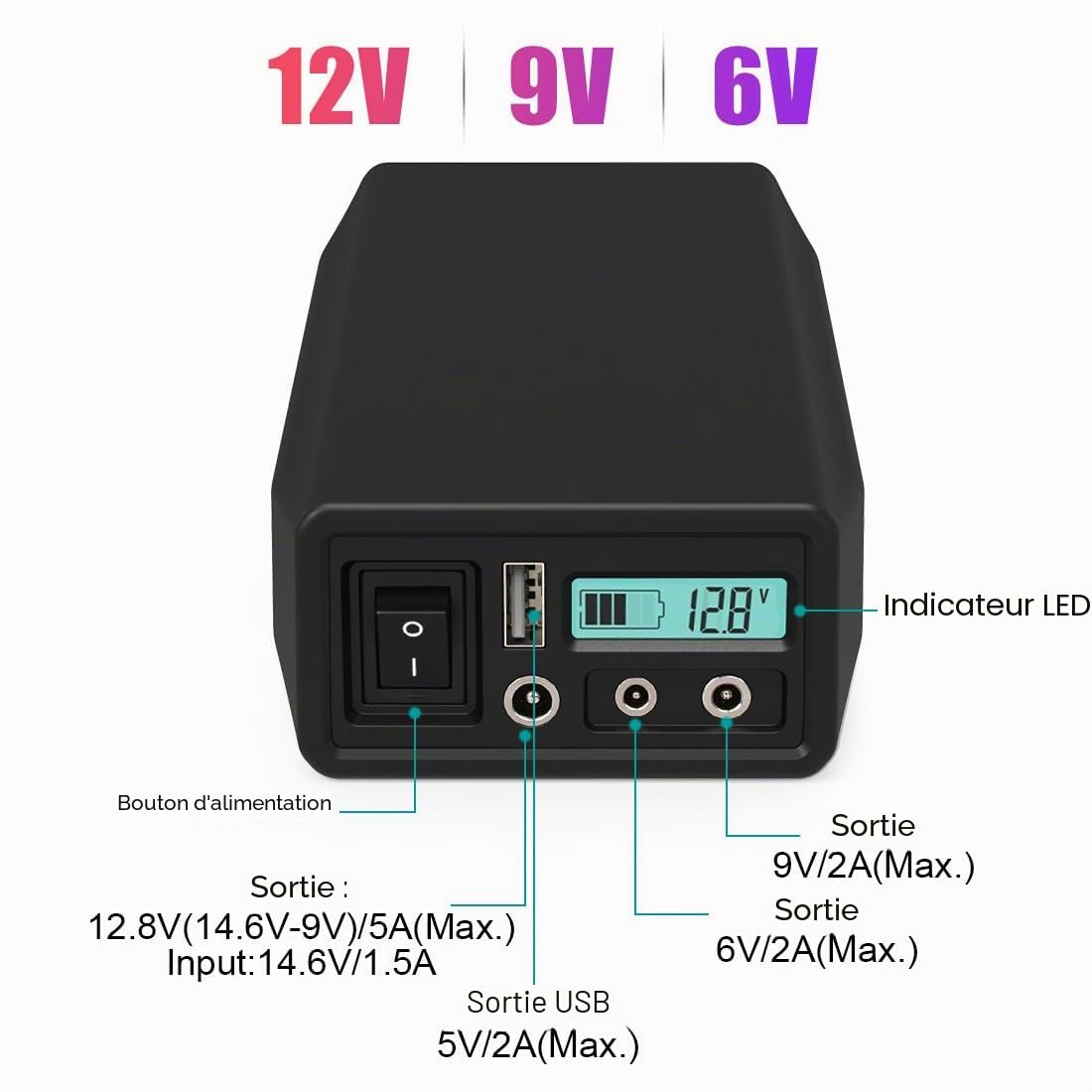 Talentcell Pack de batterie LiFePO4 12V LF4106, Accu Lithium Fer Phosphate 12.8V 6Ah 76.8Wh rechargeable 2000 cycles avec sortie DC 12/9/6 Volt et 5V USB pour bande LED, caméra CCTV, téléphone