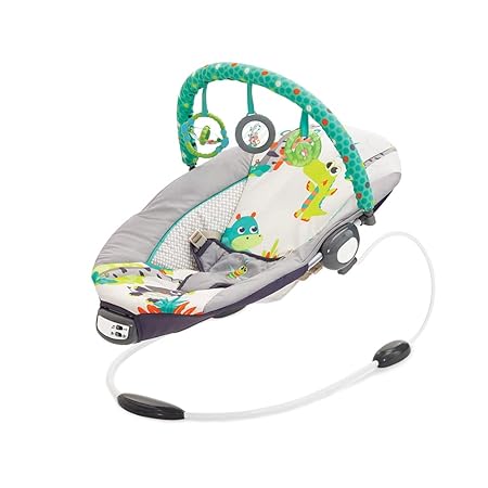 Mastela Comfort for Baby Melodies and Soothe Bouncer