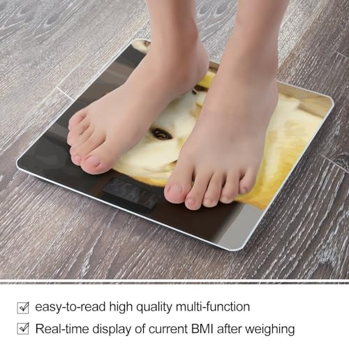 Báscula Digital para Baño de Vidrio Templado 10.2 in miniatura 5