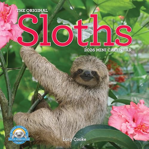 Original Sloths Mini Wall Calendar 2026: Celebrate Life in the Slow Lane