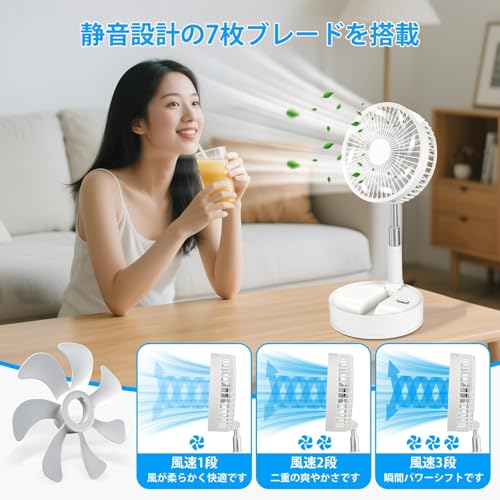 WvaZephyrian 扇風機 P11 の商品画像 1