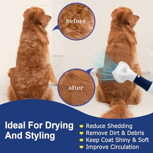 50% OFF Pet Hair Dryer & Brush – Gentle Grooming Tool - Image 3