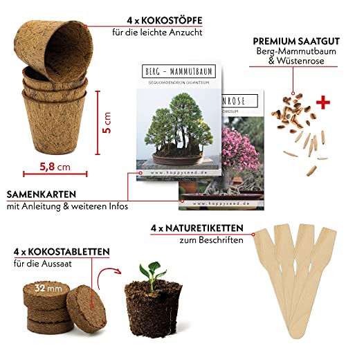 HappySeed Bonsai Starter Kit Anzuchtset inkl. GRATIS eBook - Pflanzset aus Kokostöpfen, Samen & Erde - nachhaltige Geschenkidee für Pflanzenfreunde (Wüstenrose + Berg Mammutbaum)