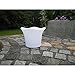 Produktbild Blumenkübel Blumentopf LED Pflanzentopf 27cm Höhe 16 Farben mit Fernbedienung