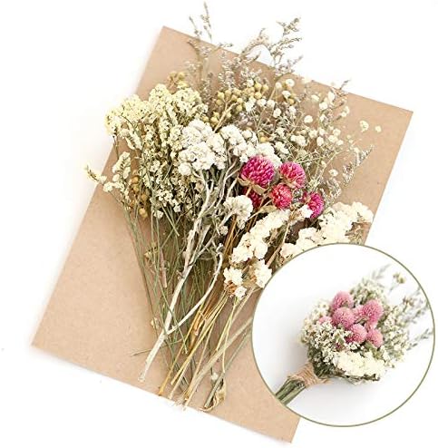 Amazon シミュレーション花不死花ドライフラワー材料パックフォトフレームdiyギフトグリーティングカードデコレーション M 6 造花 オンライン通販