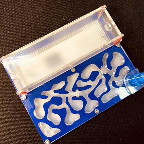 ANT 150mmx110mm Test Tube Moisture Big Space Nest Farm Acrylic, Insect Villa House Ecological Workshop (Blue) - Image 4