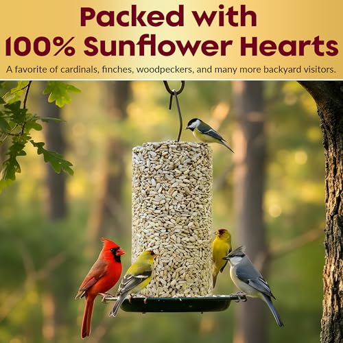100% Sunflower Hearts for Birds β Premium Bird Seed Cylinders with Hole β Hulled Sunflowers Bird Seed β Sunflower Chips for Birds - Attracts Various Songbirds β No Mess Birdseed, USA Made (4" x 7.75") - Image 3