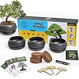 Bonsai Tree Seed Starter Kit - Mini Bonsai Plant Growing Kit, 3 Types of Seeds, Potting Soil, Pots, Pruning Shears Scissor Tool, Plant Markers, Wood Gift Box, Fathers Day Gardening Gifts Ideas