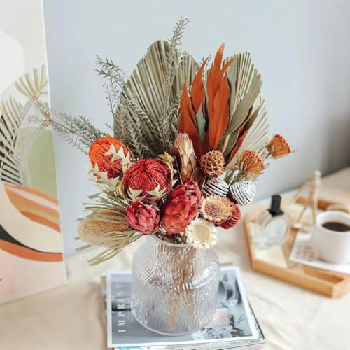 4 tallos de Protea Repens seca natural para decoración miniatura 4