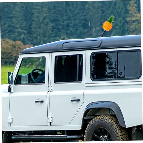 Zerodeko 2 piezas de piña para personalizar el techo de tu coche y evitar confusiones 5