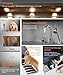POLIMO Dog Washing Station, LED Professional Stainless Steel Dog Bathing Station 61