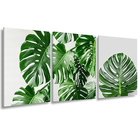 Botanical Plant Wall Art Prints Set of 3 Monstera Green Plant Poster Canvas Wall Art Decor with Tropical Plant Prints Artwork Picture for Home Decor Botanical Boho Bathroom Decor Wall Art Painting Cover