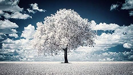T&Y FOTO Tianya Ir Infrared Kızılötesi 720nm Filtre (62mm)