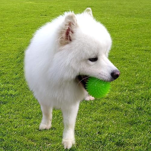 Image of Dog Toy Super Durable TPR Rubber, Ultra Light, Strong & Bouncy|Chew Toy for Dogs and Pets|Durable Natural Rubber Spiked Ball Toy|Chew and Teething Toy for Dogs and Puppies (Green)