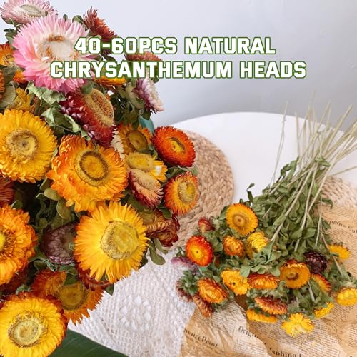Flores Naturales Secas Multicolor Cabezas de Margarita 100 pcs miniatura 3