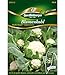 Produktbild Quedlinburger Saatgut Kleinblumiger Blumenkohl Multi Head®,1 Portion
