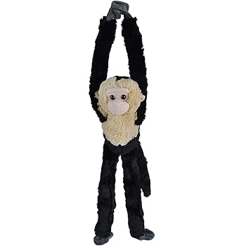 capuchin stuffed animal