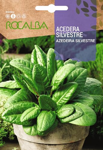 Rocalba Semilla Acedera Silvestre