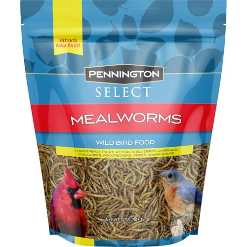 JJFS Pennington Select Dried Mealworms Wild Bird Food – 2 lb Bag, Attracts Bluebirds, Robins, Wrens and Other Insect-Eating Birds