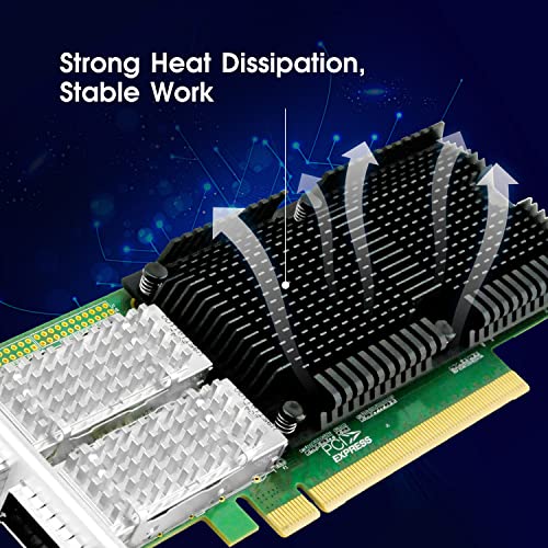 Lr-Link 100Gb Pci-E Nic Network Card, Dual-Port Qsfp28 Port, With Intel E810-Cam2 Chip, Pci Express X16 Ethernet Lan Adapter Support Windows Server/Linux/Vmware,Compare To E810-Cqda2 #TOP4