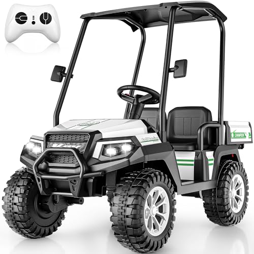 AceCruisers 24V Kids Golf Cart