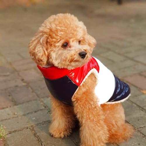  Z[  _E xXg ^ ^ H ~ Wp[ R[g {A y h y ۉ ؍ (M, gR[)