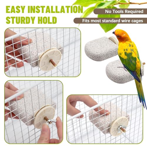 Image of 4 Pcs Lava Ledge Bird Perch Platform Set for Cages | Fits Small /Medium Parrots (Budgies, Conures) | Volcanic Calcium Stone for Beak Grinding & Claw Trimming | Tool-Free Mount
