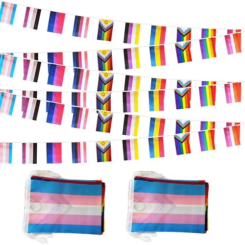 60 All Pride Rainbow Gay String Flag, 66 ft Progress Rainbow Gay Pride Flag Bunting Banner,LGBTQ Flag Banner Decoration for Sports Events, Grand Opening, Party