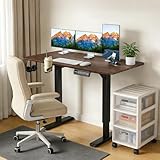 eitfrh Escritorio Elevable Eléctrico 120 x 60 cm,Altura Ajustable con Memoria, Standing Desk para Sentarse En Casa...