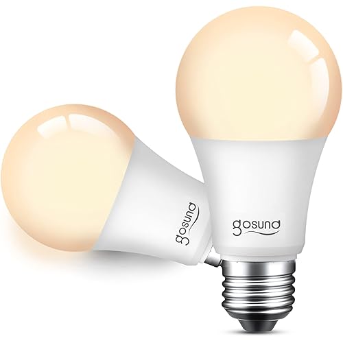 Smart Alexa Light Bulbs, LED WiFi Dimmable Bulb Works with Amazon and Google Home, A19 75W Equivalent E26, 2.4GHz WiFi Only, No Hub Required 2 Pack
