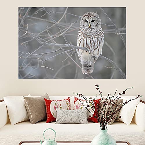 Toile peinture hibou mignon art animalier grand format pour habiller un mur vide