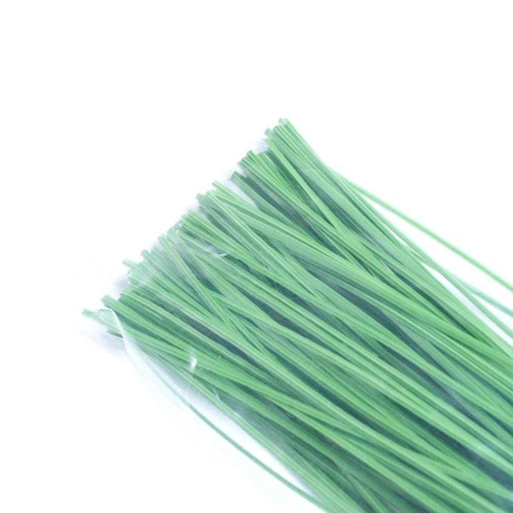 Weitingkkk One Color Plant Ties, 100 Pack Green Garden Vine Ties For Bonsai Flower Cucumber Grape Rattan Brackets 100-300Mm(300Mm)