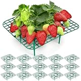16 Pack Square Strawberry Plant Supports, Reusable Strawberry Plant Stand Holders with 4 Legs, Strawberry Growing Rack Frames Keep Berries Off Ground and Clean for Garden, Raised Beds, Pots (Green)
