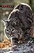 Bobcat: Master of Survival