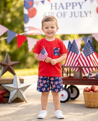 Image of Boys 2pc Shorts Set Outfit Short Sleeve Shirt with Fun Applique Print and Shorts