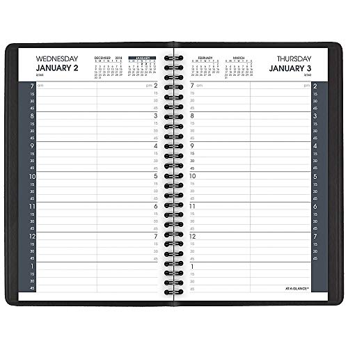 AT-A-GLANCE 2019 Daily Planner / Appointment Book, 5