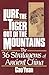 Lure the tiger out of the mountains: The thirty-six stratagems of ancient China by Gao Yuan (1991) Hardcover