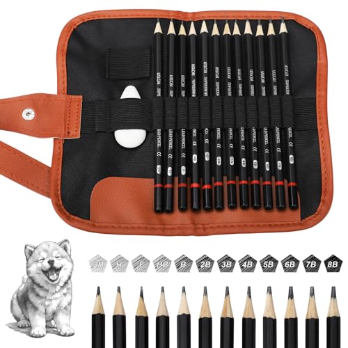 12 Piezas Lápices de Dibujo, con Estuche Enrollable y Goma de